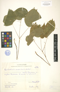 LE 01004012
