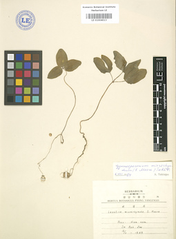LE 01004013