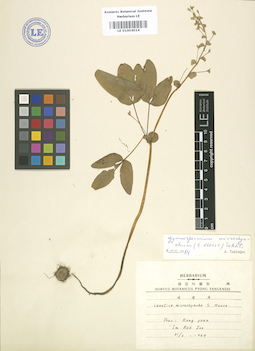 LE 01004014