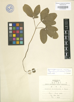 LE 01004015