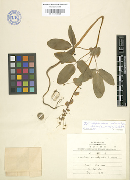 LE 01004016