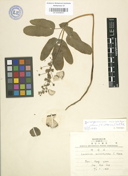 LE 01004017