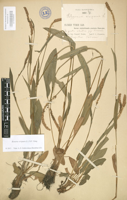 LE 01004044