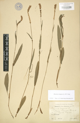 LE 01004045