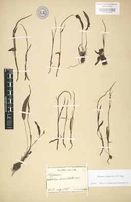LE 01004046