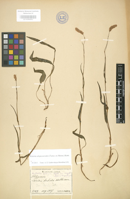 LE 01004052