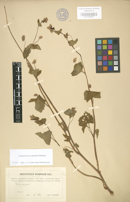 LE 01004057