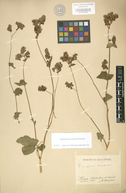 LE 01004058
