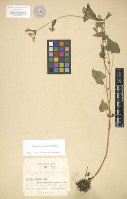 LE 01004059