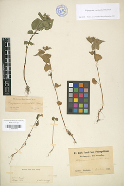 LE 01004061