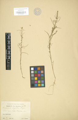 LE 01004062