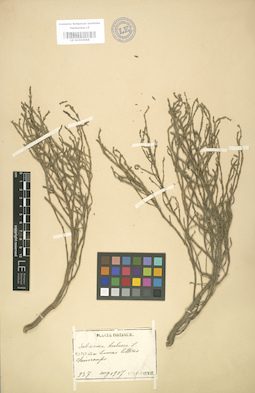 LE 01004064