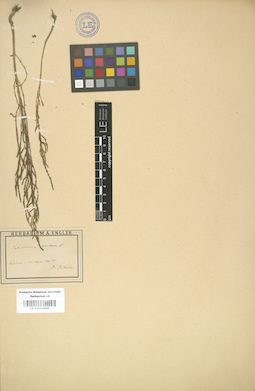 LE 01004065