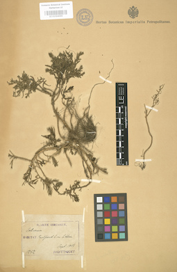LE 01004066