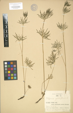 LE 01004067