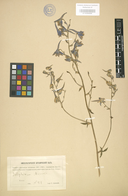 LE 01004068