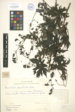 LE 01004074