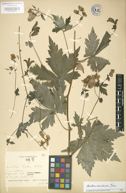 LE 01004075