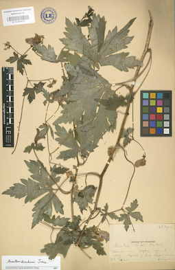 LE 01004076
