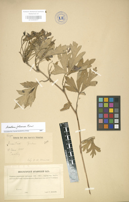 LE 01004077