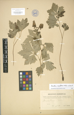 LE 01004078