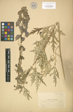 LE 01004079
