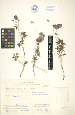 LE 01004080