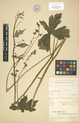LE 01004084