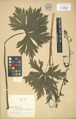 LE 01004085
