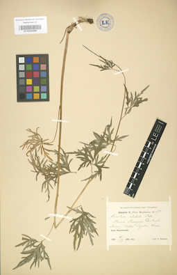 LE 01004086
