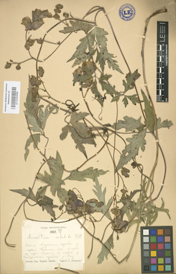 LE 01004088