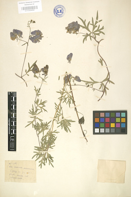 LE 01004090