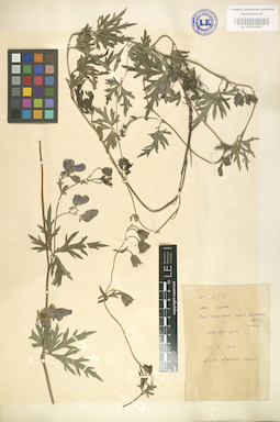 LE 01004091