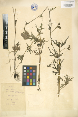 LE 01004092