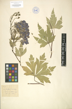LE 01004094