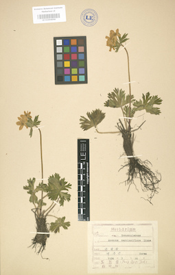 LE 01004098