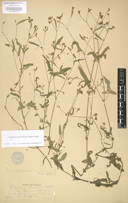 LE 01004101