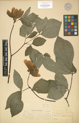 LE 01004111