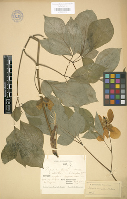 LE 01004112