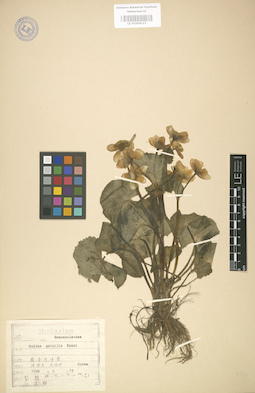 LE 01004113