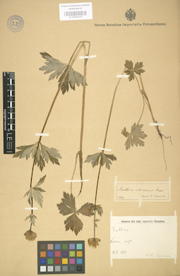 LE 01004116