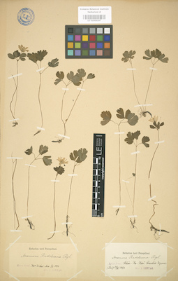 LE 01004147