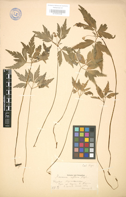 LE 01004148
