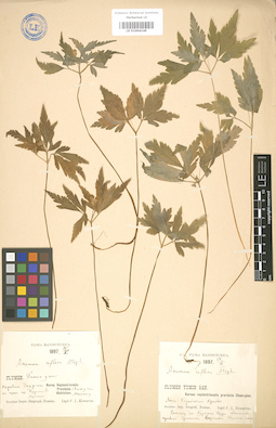 LE 01004149