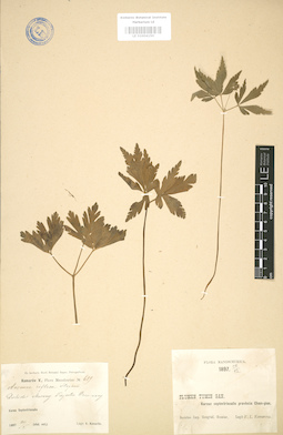 LE 01004150