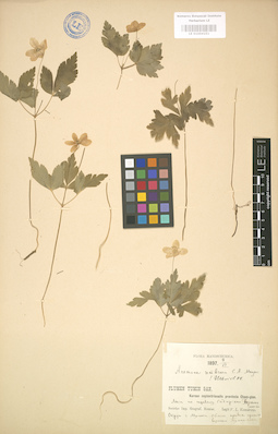 LE 01004151