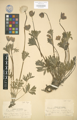 LE 01004160