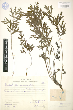 LE 01004166