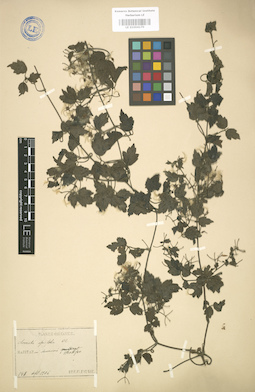 LE 01004170