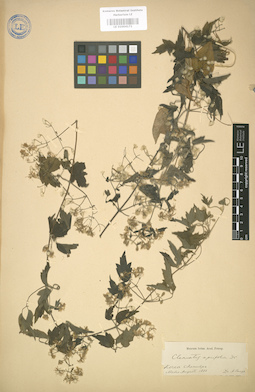 LE 01004171